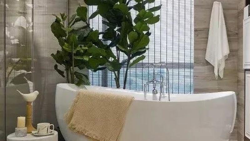 蹲便器选购攻略：揭秘家用蹲便器的关键要素